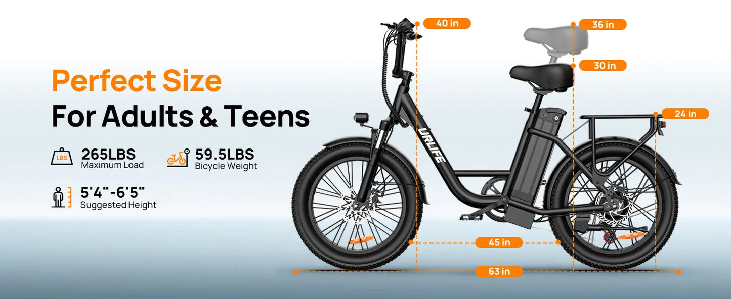 1000W E20 Electric Bike | 48V 13Ah Removable Battery, 20MPH, 20''X3" Fat Tire, 7-Speed with Dual Disc Brake