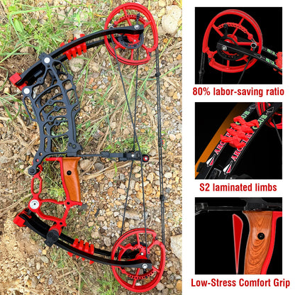 Archery Compound Bow Kit, Arrows & Steel Balls Dua Use Beginners Bow,30-70LBS Draw Weight, Short 19" Axle CNC Metal Frame,