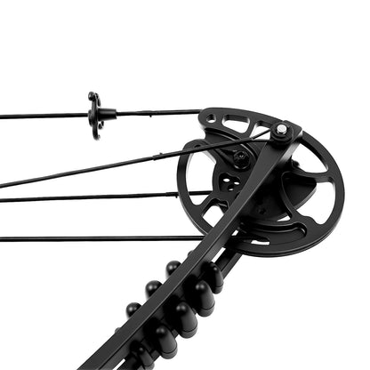 Compound Bow Adults, Right Hand, Hunting Kit: 3 Pin Lighted Sight for Hunting,
