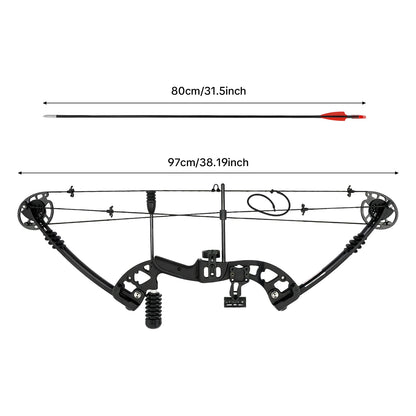 Compound Bow Adults, Right Hand, Hunting Kit: 3 Pin Lighted Sight for Hunting,