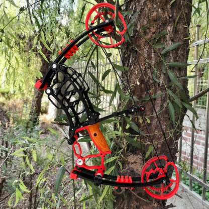 Archery Compound Bow Kit, Arrows & Steel Balls Dua Use Beginners Bow,30-70LBS Draw Weight, Short 19" Axle CNC Metal Frame,