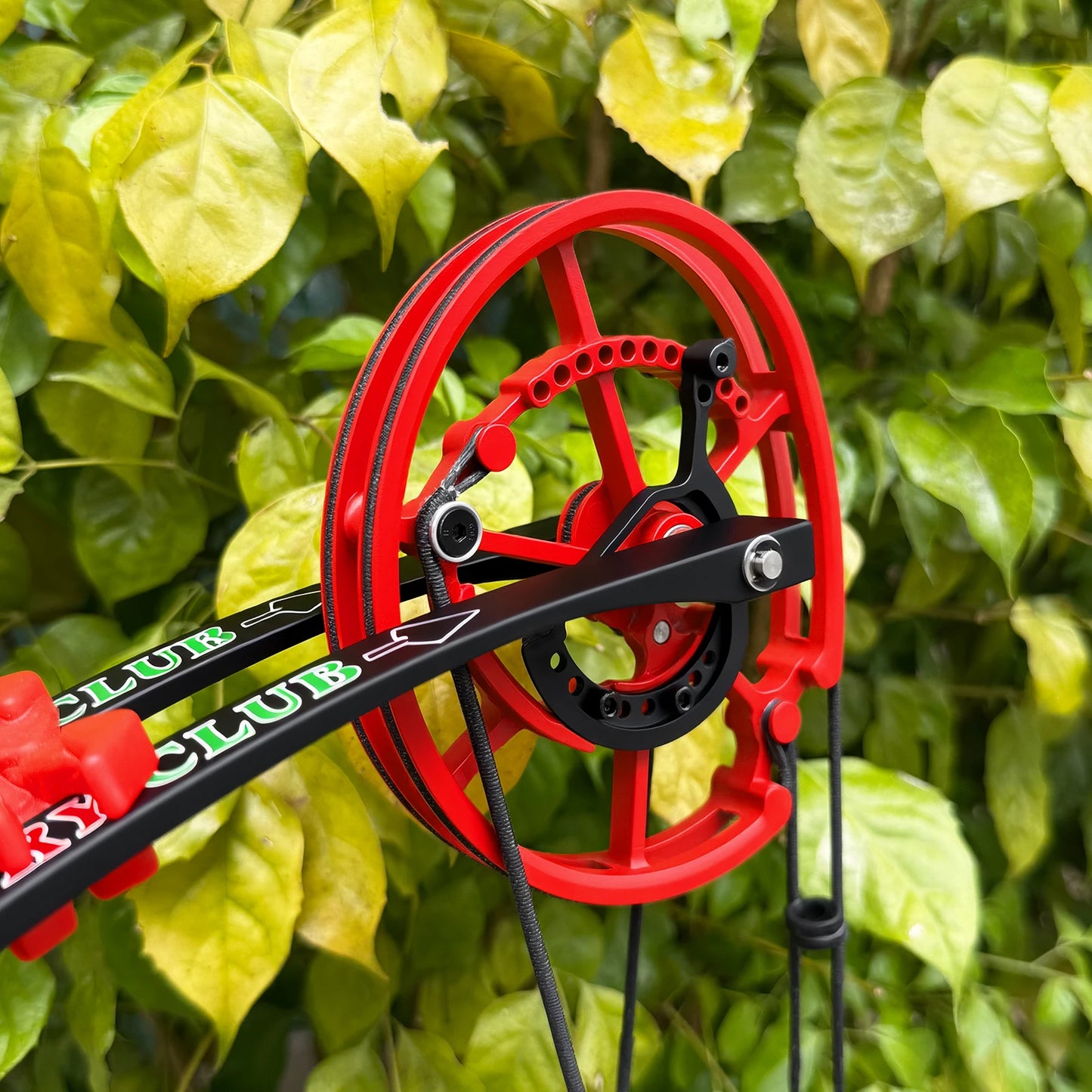 Archery Compound Bow Kit, Arrows & Steel Balls Dua Use Beginners Bow,30-70LBS Draw Weight, Short 19" Axle CNC Metal Frame,